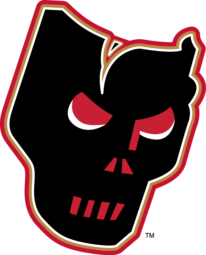 Calgary Hitmen 2009 10-Pres Alternate Logo 2 vinyl decal